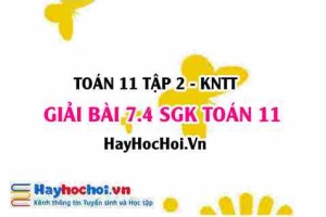 Bài 7.4 SGK Toán 11 Tập 2 Kết nối tri thức